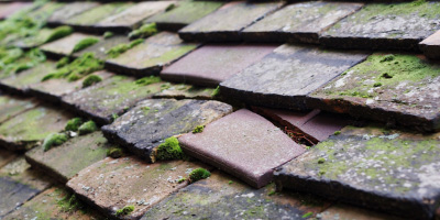 Stuntney roof repair costs